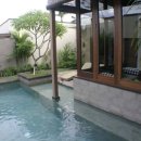 더리시안 이미지