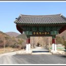 쌍계사 상록수림 이미지