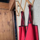 벌떡 장어 이미지