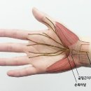 세중한의원 국제도시점 이미지