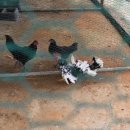 예당레이크하우스 이미지