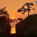 신년 해맞이 이미지