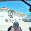 담양맛집 &#39;고서회관&#39; 육전+육회비빔밥 먹었어요
