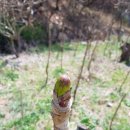 돌다리 농장 이미지