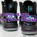 에그플란트(eggplant) 이미지