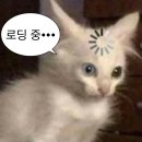 [최종합격] 에어아시아엑스 면접후기(+단계별 꿀팁) / 과외,학원 X / 외항사 초단기 준비생