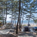 태안캠핑농원 이미지