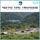 감곡면사무소 | 수레의산 국민여가캠핑장,자연휴양림