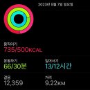 미스코다리 이미지