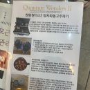 성지고등학교 | 부산 대연동 등관리 샵더예쁨 드레스라인관리 다이어트 셀룰라이트