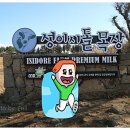 성길민박 이미지