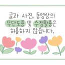 경포왕만두 네이버블로그