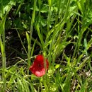 용암천1 이미지