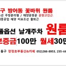 현대중공업미포문 이미지