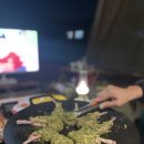 화왕산오토캠핑장 이미지