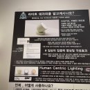 카페인존
