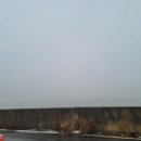 브레덴코 Daum카페