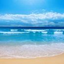 포근한맘요양병원 이미지