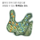 벨라스톤 컨트리클럽 이미지