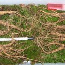 연중농장 이미지