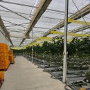 복실농장 이미지