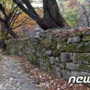 대흥유지