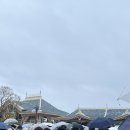 [후쿠오카 일상] D+388_첫 도쿄 디즈니랜드 🏰🪄◝✩