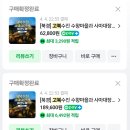 [베이징/하얼빈 4박5일] 베이징 고북수진, 사마대장성(만리장성) 투어 내돈내산 솔직 후기