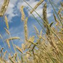 팜공인중개사사무소 이미지