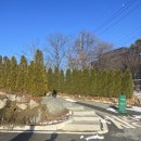 LAFORESTA(라포레스타) 이미지
