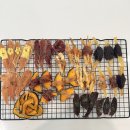 까까뭐멍냥 이미지