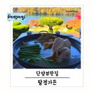 팔경가든 | 단양 충주호 여행 뷰맛집 팔경가든 뷰가 다했다.