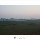 새벽목장 이미지