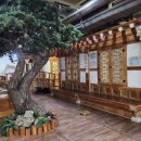 스파렉스 이미지