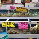 팜핑제주 이미지