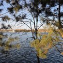 주식회사 현대수리조트 | 웨이하이 가성비 끝판왕! 톈무온천 리조트 힐링 숙박 후기