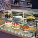 사구해수욕장2 | 탕수육 맛집 신태루 / 신도리 해안사구 / 커피인터뷰 파도리 해수욕장 오션뷰 카페 / 해식동굴 물때 시간