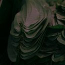 혼밥간편요리 이미지