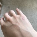 노티농장 이미지