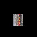 오렌지 클럽 이미지