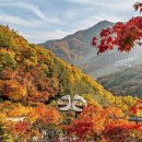 숲속힐링