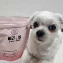 강아지 눈영양제 추천 베리봄 후기