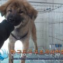 신상계초등학교 이미지
