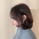 [후기] 안성 당왕동미용실 벨로인 헤어에서 웬디 머리 따라하기