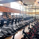 자마이카 짐 이미지