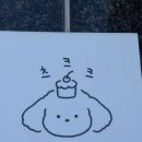 츠크크