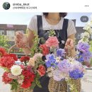 심고;바라보다