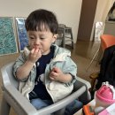 헤이브 이미지