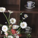 노원-공릉-3121 이미지