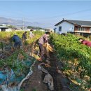 해남보호관찰소 이미지